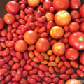 Venda quente Beba diretamente suco de tomate puro em pó